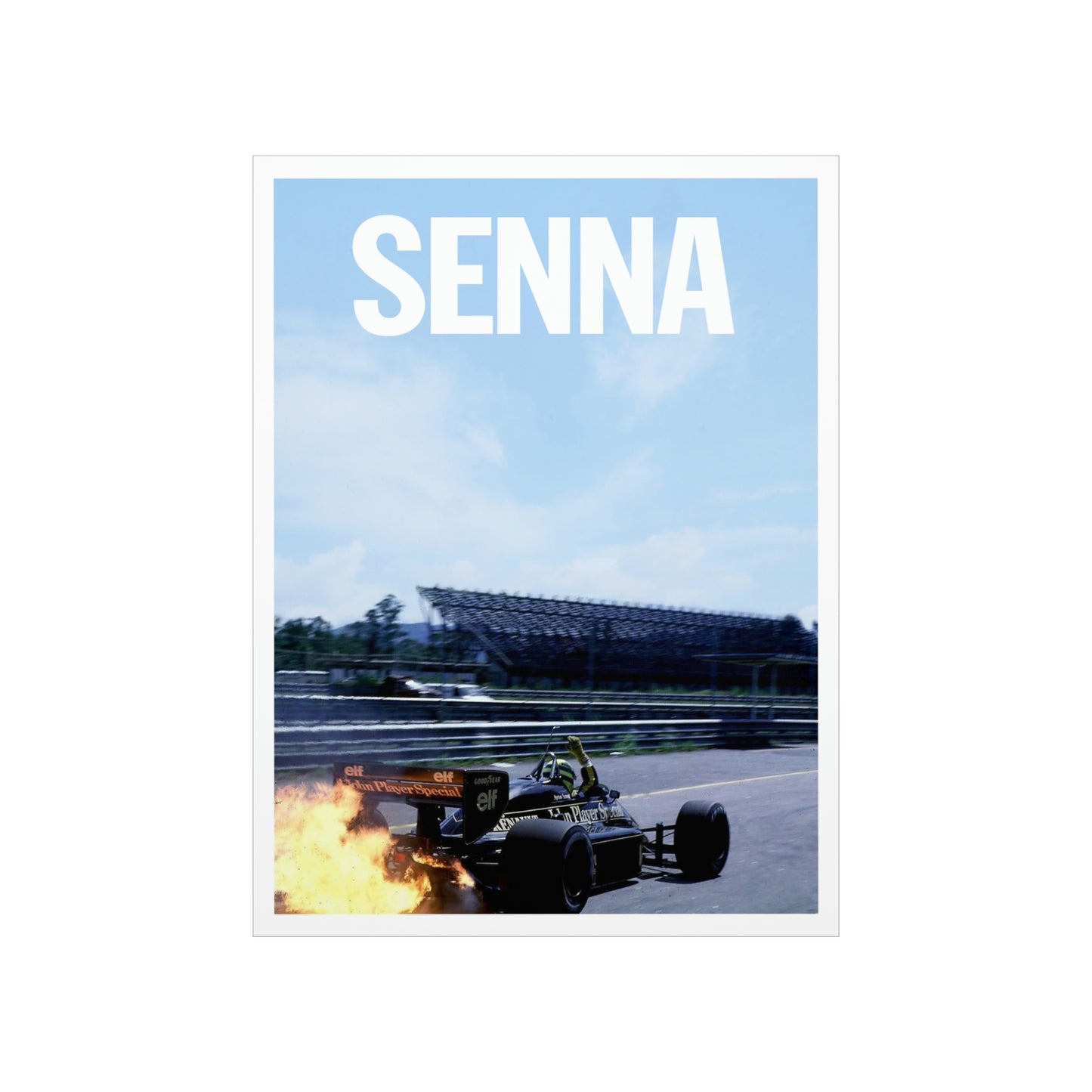 SENNA Poster 18x24